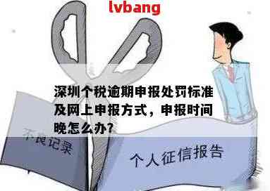 深圳个体户逾期申报流程与注意事项：如何进行合规申报