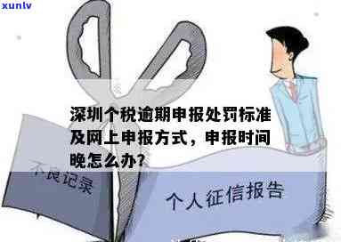 深圳个体户逾期申报