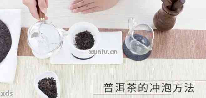 普洱茶31度：泡法与度解析