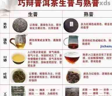 普洱茶31度：泡法与度解析