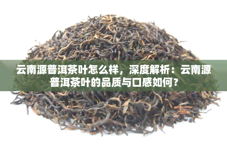 源南酿普洱茶好喝吗？怎么样？云南源普洱茶品质如何？