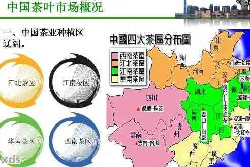 普洱茶台场在哪：寻找普洱茶叶的批发地，了解其具     置。