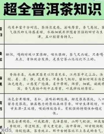 经理普洱茶介绍及相关问题解答