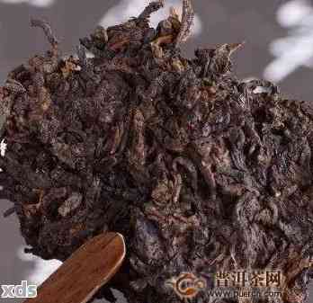 普洱茶熟茶：品种、制作工艺、功效与泡法全方位解析