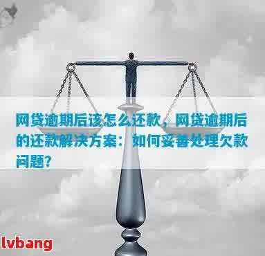 新网贷逾期后如何寻求朋友帮助还款，以及后续处理步骤详解