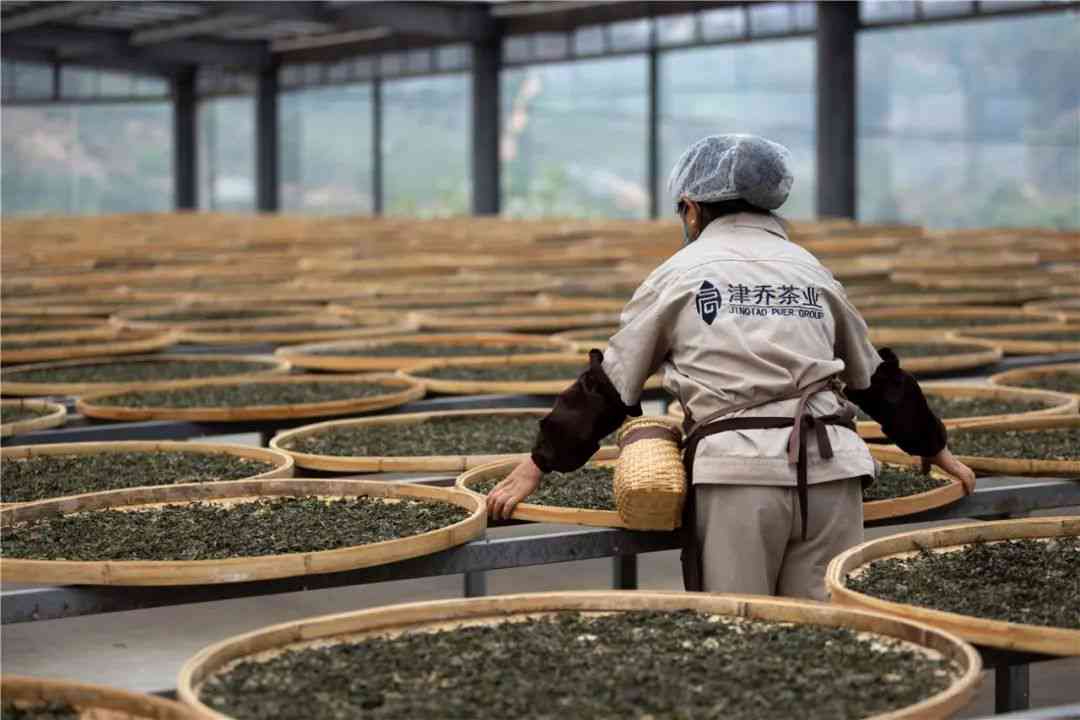 兴旺茶业：传统与创新相结合的优质茶叶