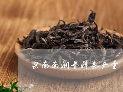 南涧普洱茶口感特点及价格表 - 探索南涧茶叶公司最新产品