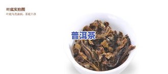 '勐海茶厂散茶价格与品质解析'