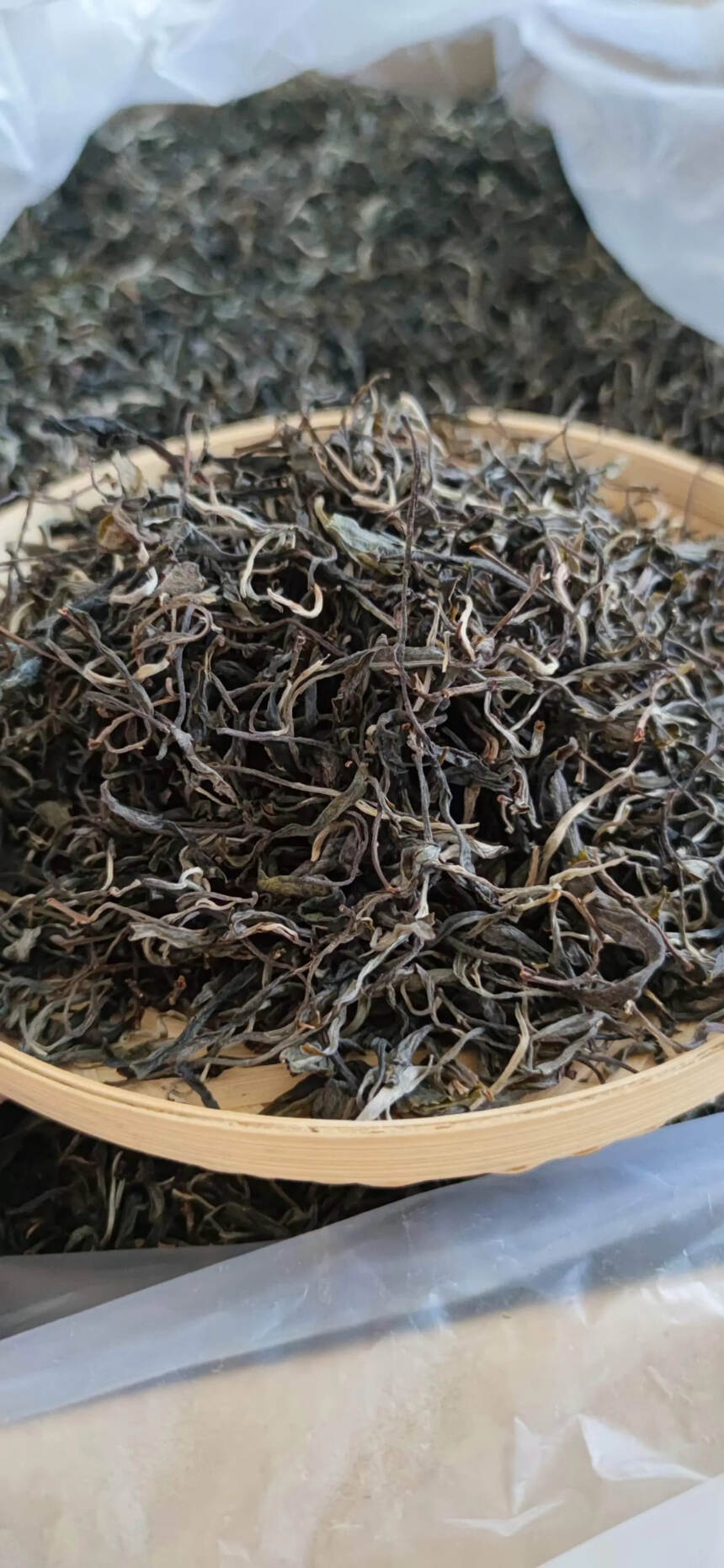 勐散茶普洱茶