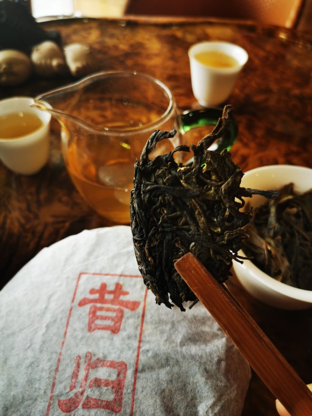 陈先生的普洱茶之道：泰古树茶的魅力与传承