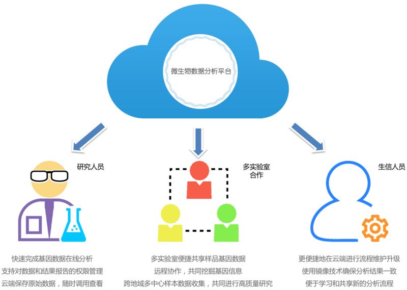 碧云：如何全面解决用户在搜索过程中可能遇到的问题？