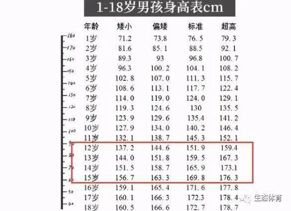 基于身高163cm、体重120斤的女性，如何选择合适的手镯尺寸？请提供相关建议