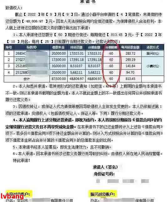 信用卡欠款的解决策略：详细说明及未来还款计划