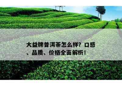 大益堂普洱茶品质与口碑分析：如何鉴别？值得购买吗？