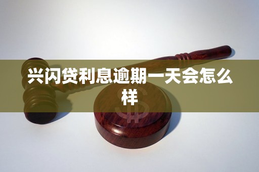 兴闪贷逾期一天：如何主动进行还款操作以避免负面影响