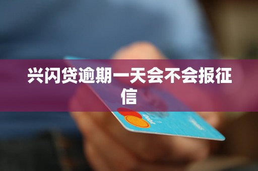 兴闪贷逾期一天：如何主动进行还款操作以避免负面影响