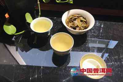 夜难忘普洱茶：一场不一般的茶文化宴