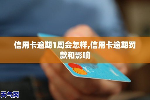 当您信用卡逾期时，应该怎么办？这里有一些解决方案供您参考。