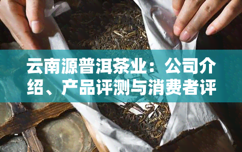 新 '品质越的益丰源普洱茶——消费者评价与推荐'