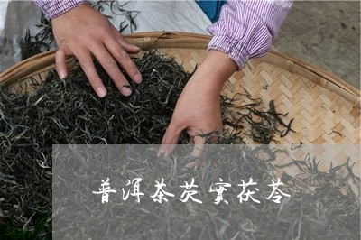 云茯苓普洱茶