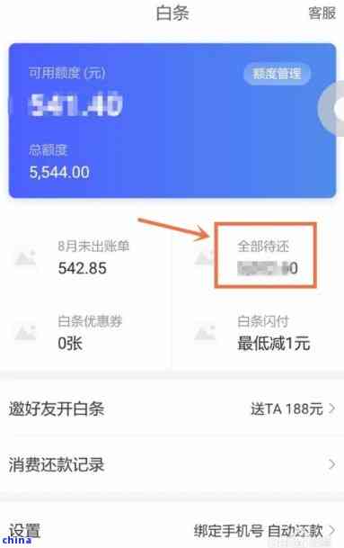 白条欠款700无法偿还？解决方案和建议全解析！