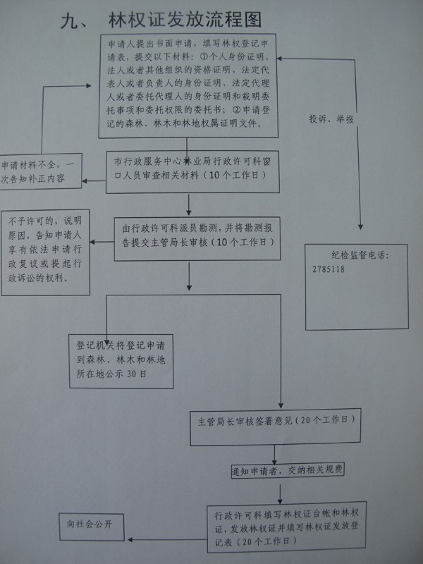 普洱茶林权证：全面解析、办理流程与权益保障