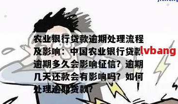 农行贷款逾期处理方法及影响分析