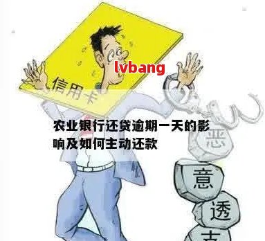 农行贷款逾期处理方法及影响分析