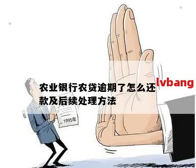 农行贷款逾期处理方法及影响分析