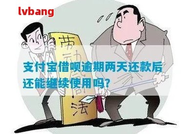 逾期还款后，借呗是否还能再次借款？