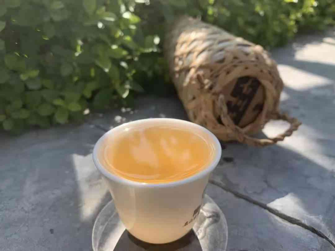 普洱茶年份的含义及其重要性：了解茶叶品质和陈化过程的关键要素