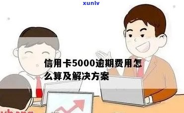 信用卡还款额度限制：5000元，原因与解决办法详解