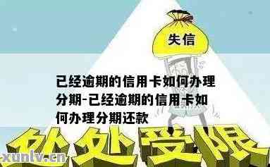 信用卡逾期未还，如何解决无法办理分期贷款的问题