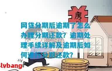 网贷逾期后：是否还可以分期还款？原因是什么？