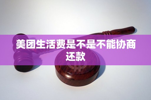 美团生活费无法按时还款怎么办