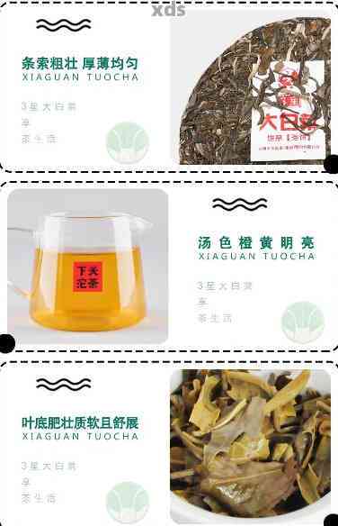 太白菜普洱茶制作方法与价格表：白菜系列、大白菜系列解析