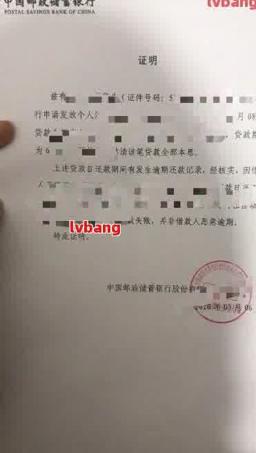 全面解决用户搜索需求：非逾期证明模板的详细指南与实践