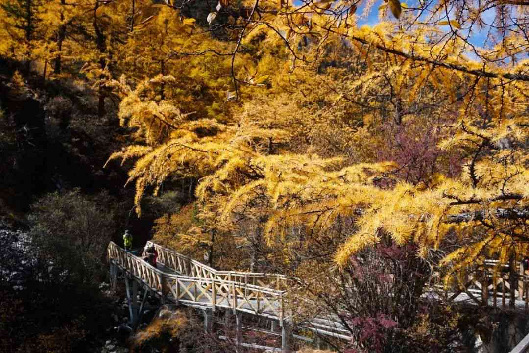 千年翡翠，万年玉：神秘宝石的悠久历史与文化传承