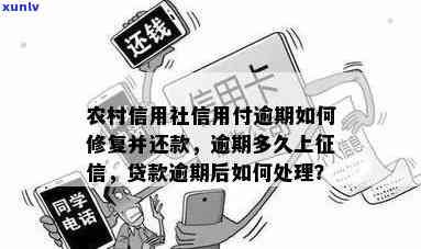 贷款逾期后几天还款完成，信用社是否允再次借款？如何确保贷款顺利进行？