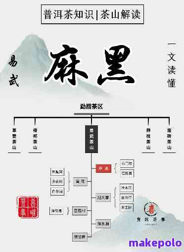 麻黑普洱茶：科学研究解析其独特功效与作用，解锁健新视角