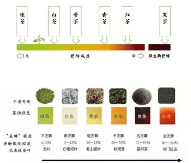 新紫芽普洱茶的品质与市场定位分析：哪个档次的产品最为受欢迎？