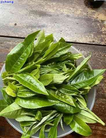 普洱茶与韭菜同食的禁忌与搭配建议