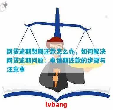 网贷逾期后如何申请期还款？了解详细步骤及注意事项，解决用户搜索的疑惑