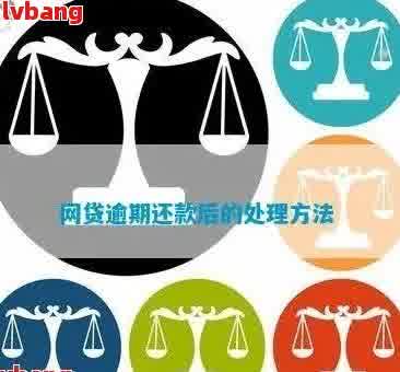 网贷逾期后如何申请期还款？了解详细步骤及注意事项，解决用户搜索的疑惑