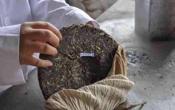 普洱茶：制作沱茶的适宜性探讨与实践