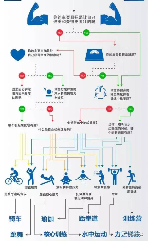 全面健生活方式：从健身到普洱茶的全方位指导与推荐