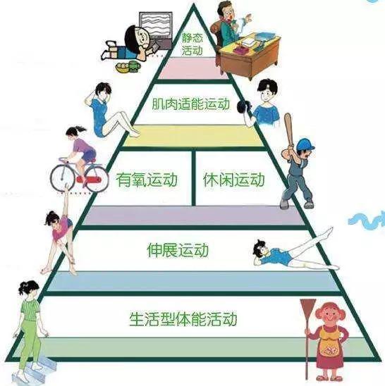 全面健生活方式：从健身到普洱茶的全方位指导与推荐