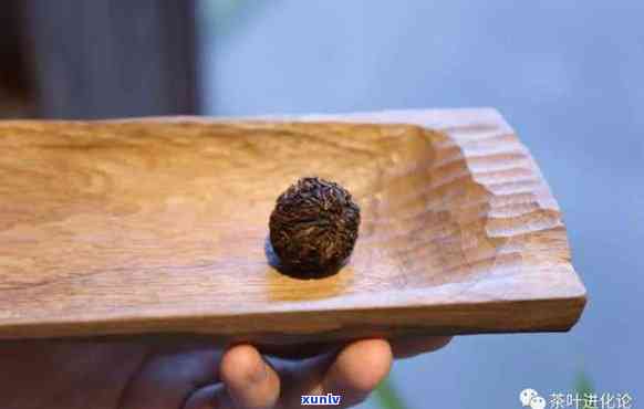 揉普洱茶龙珠：制作与冲泡，探究普洱熟茶龙珠的奥秘