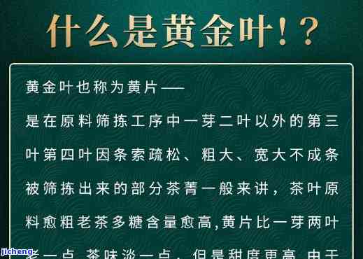 普洱黄金茶：价格、品质、功效以及购买渠道全方位解析