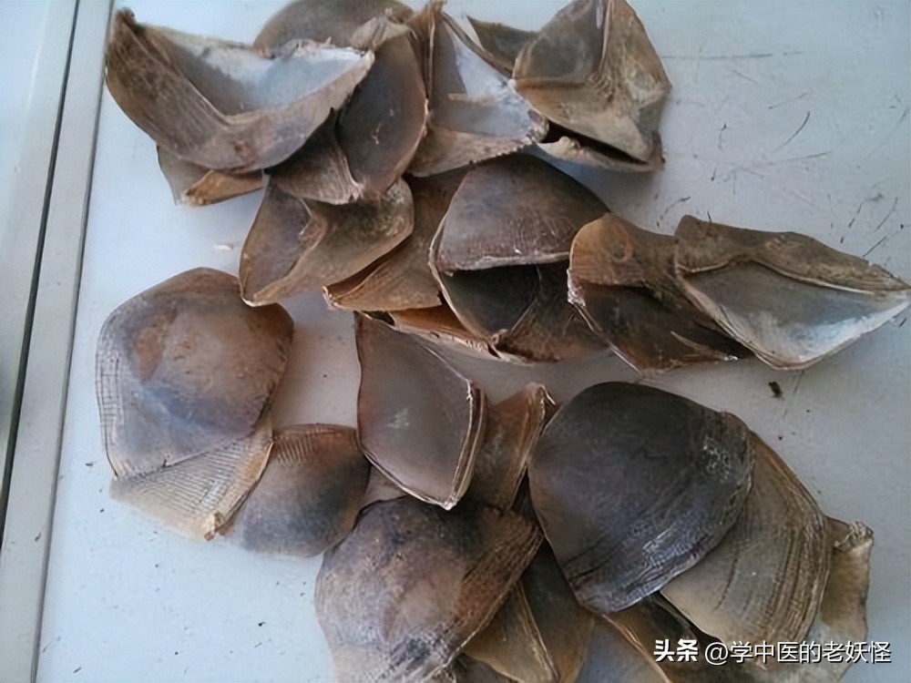 山甲珍品，普洱茶中的瑰宝：穿山甲普洱茶的独特魅力